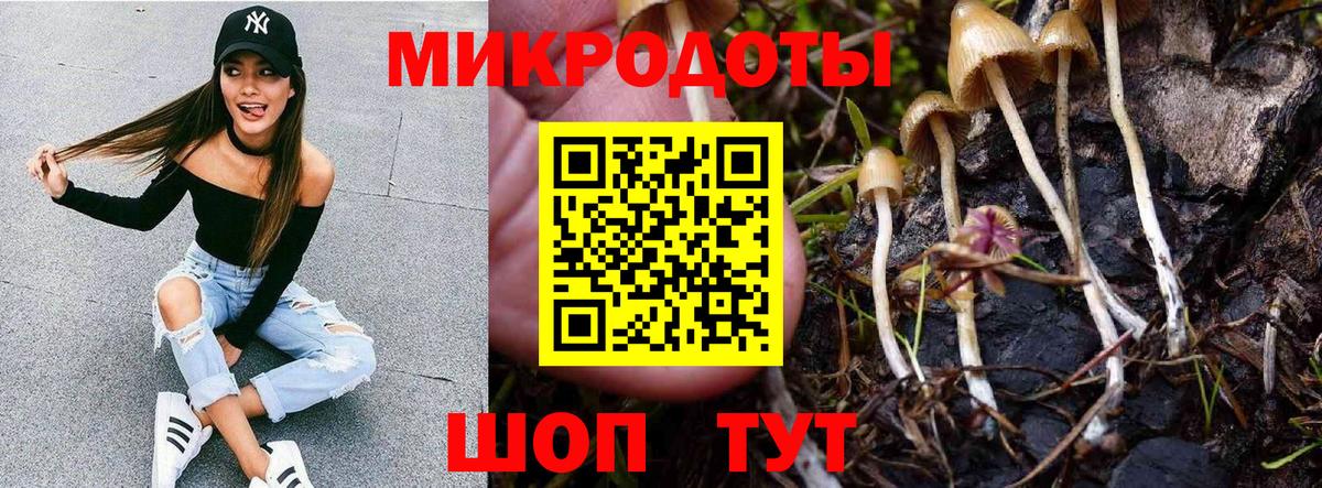 Псилоцибиновые грибы Magic Shrooms Татарск