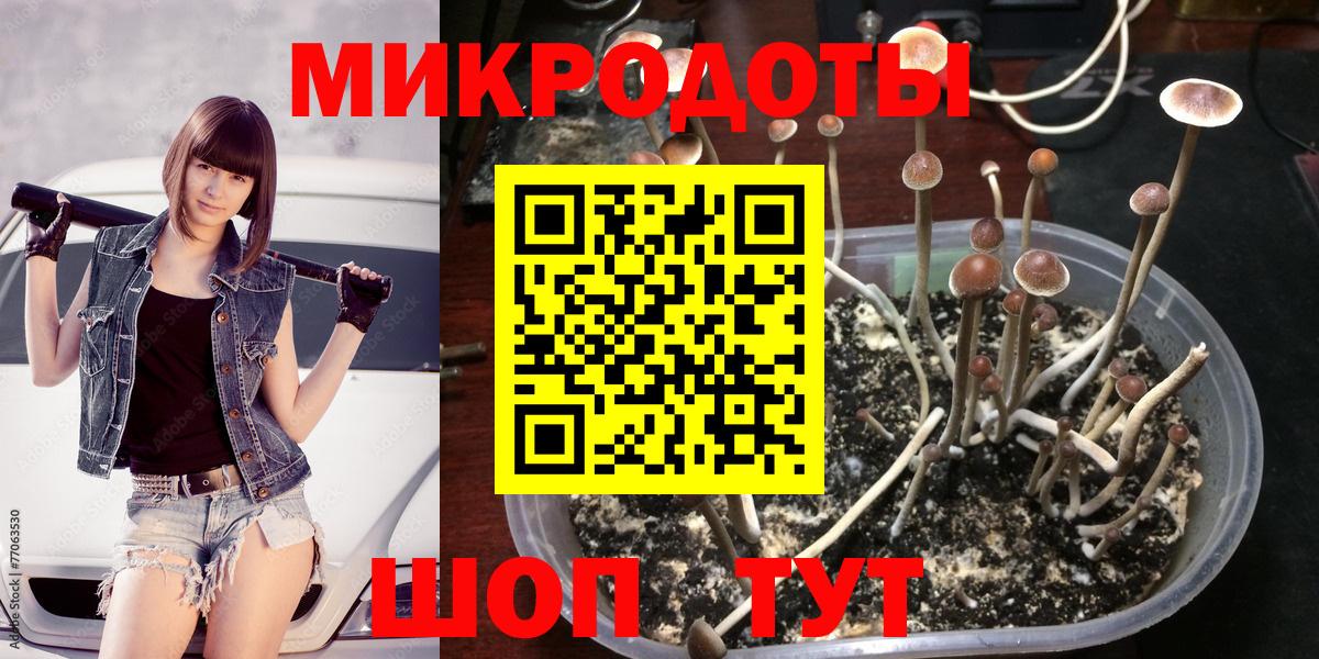 Татарск  Псилоцибиновые грибы MAGIC MUSHROOMS  Вход с VPN 